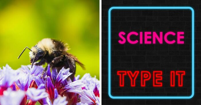 27 Science Questions To Test Your Knowledge – Prove Your Understanding