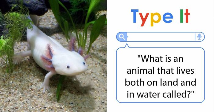 27 Science Questions To Test Your Knowledge – Prove Your Understanding