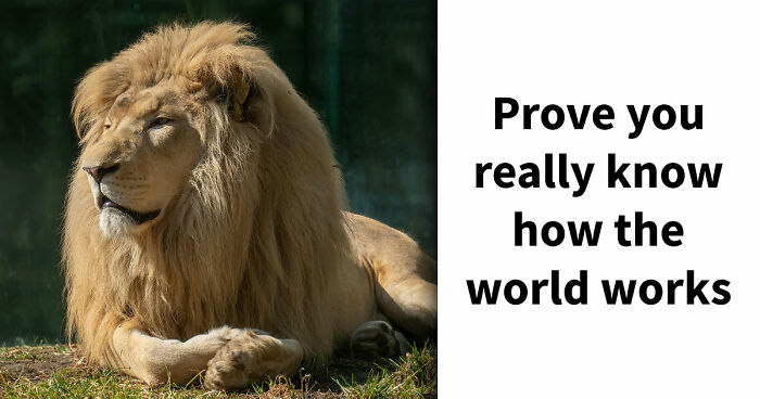 27 Science Questions To Test Your Knowledge – Prove Your Understanding