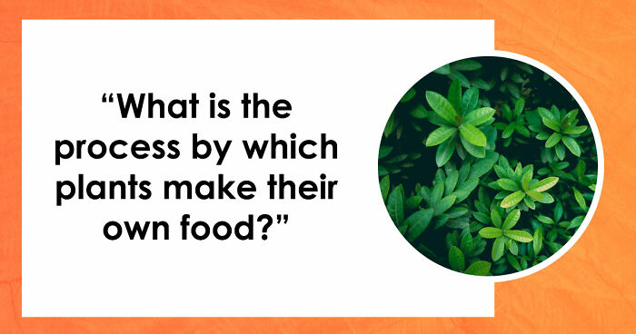 27 Science Questions To Test Your Knowledge – Prove Your Understanding