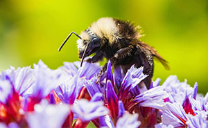 Only People Who Truly Understand Our World Will Score Over 22/27 In This Science Quiz