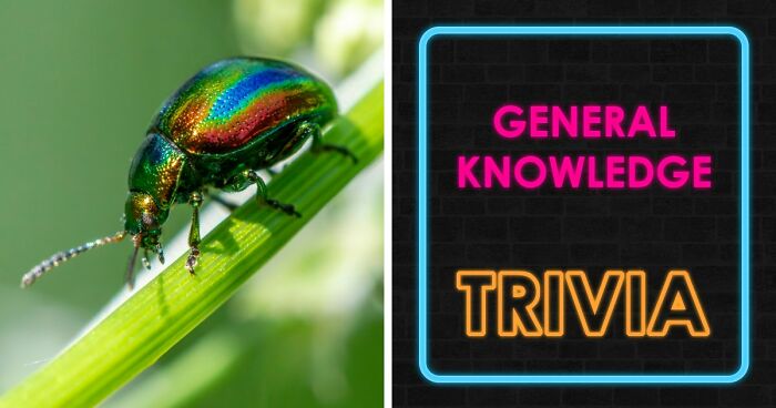 From Obvious To Impossible: 20 Brain-Scratching General Knowledge Questions