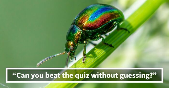 From Obvious To Impossible: 20 Brain-Scratching General Knowledge Questions