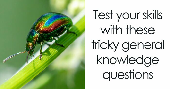 From Obvious To Impossible: 20 Brain-Scratching General Knowledge Questions
