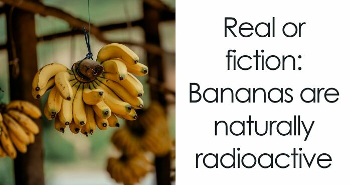 From Obvious To Impossible: 20 Brain-Scratching General Knowledge Questions