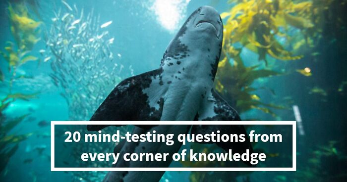 From Obvious To Impossible: 20 Brain-Scratching General Knowledge Questions