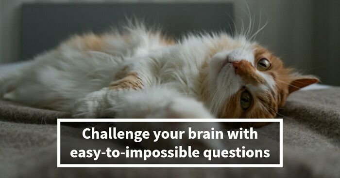 20 General Knowledge Questions That Start Easy And Get Brutally Hard – Challenge Yourself