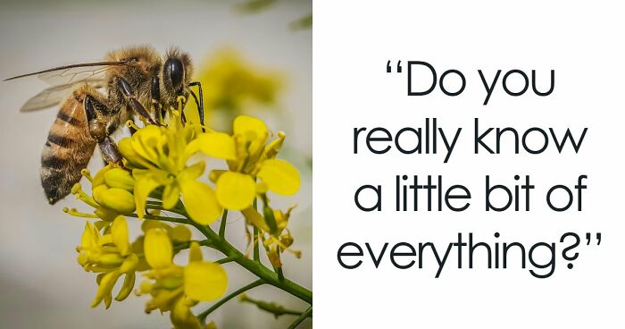 20 General Knowledge Questions That Start Easy And Get Brutally Hard – Challenge Yourself