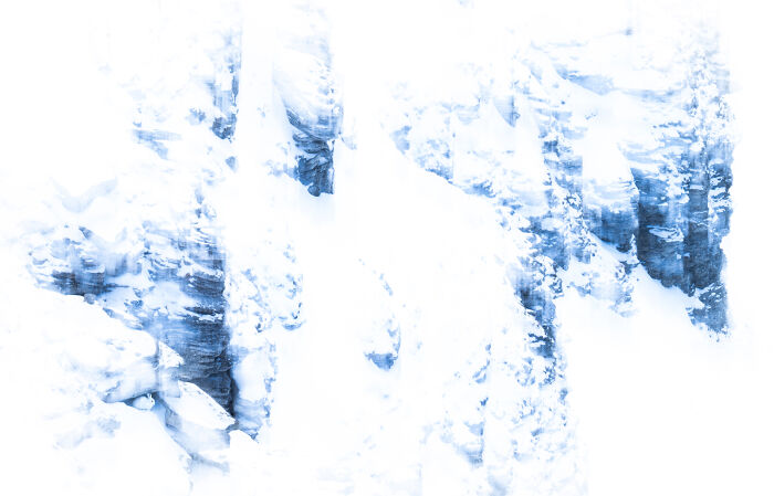 Overall Winner, Mammals: White On White B Y Luca Lorenz