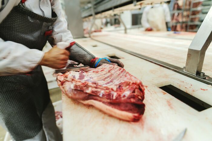 Worker wearing protective gear handling raw meat in a facility, illustrating one of the worst places in the US to visit.