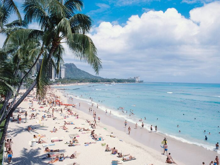 Waikiki Beach with sunbathers, swimmers, palm trees, and Diamond Head in the background. Many people rage quit their jobs for this.