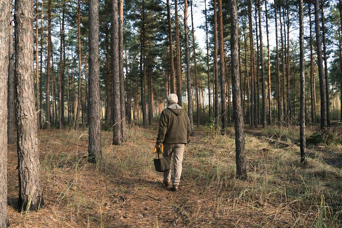 Man walking alone in a dense forest path, representing exploration of urban legends that were unexpectedly true.