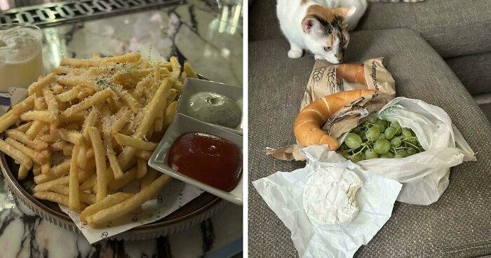 59 Girl Dinner Pics That Come With A Side Of Stories We Were Not Prepared For