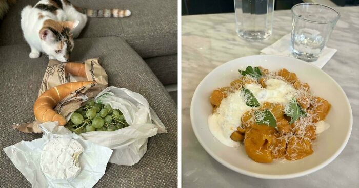 59 Girl Dinner Pics That Come With A Side Of Stories We Were Not Prepared For