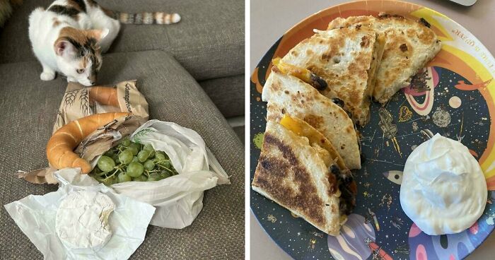 59 Girl Dinner Pics That Come With A Side Of Stories We Were Not Prepared For