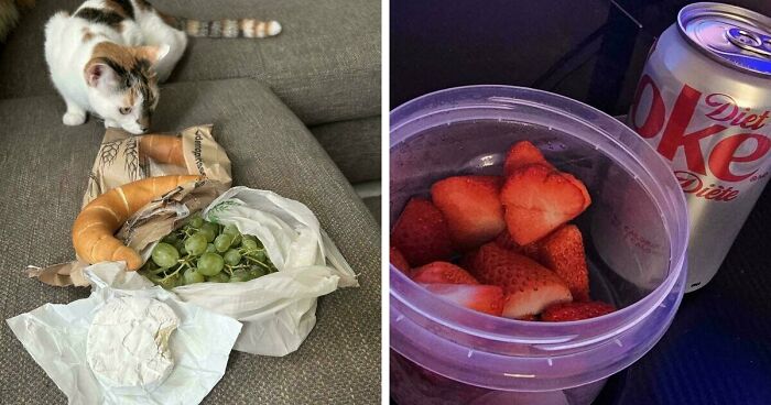 59 Girl Dinner Pics That Come With A Side Of Stories We Were Not Prepared For