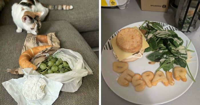 59 Girl Dinner Pics That Come With A Side Of Stories We Were Not Prepared For