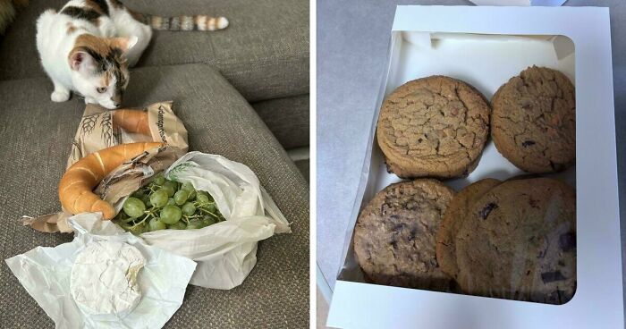 59 Girl Dinner Pics That Come With A Side Of Stories We Were Not Prepared For