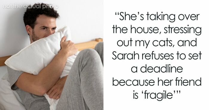 Woman Crashes At Friend’s Home After Breakup, Blasts Reality TV And Stresses Out The Cats