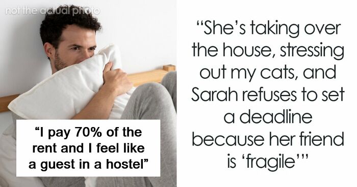 Woman Crashes At Friend’s Home After Breakup, Blasts Reality TV And Stresses Out The Cats