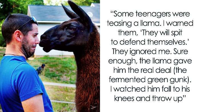 61 Times Karma Turned The Tables In The Most Satisfying Way