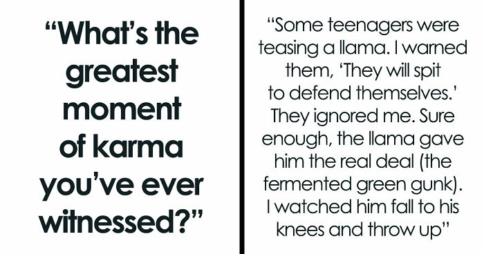 61 Times Karma Turned The Tables In The Most Satisfying Way