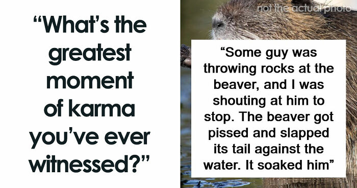 61 Times Karma Turned The Tables In The Most Satisfying Way