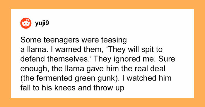 61 Times Karma Turned The Tables In The Most Satisfying Way