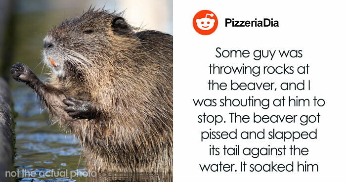 61 Times Karma Turned The Tables In The Most Satisfying Way