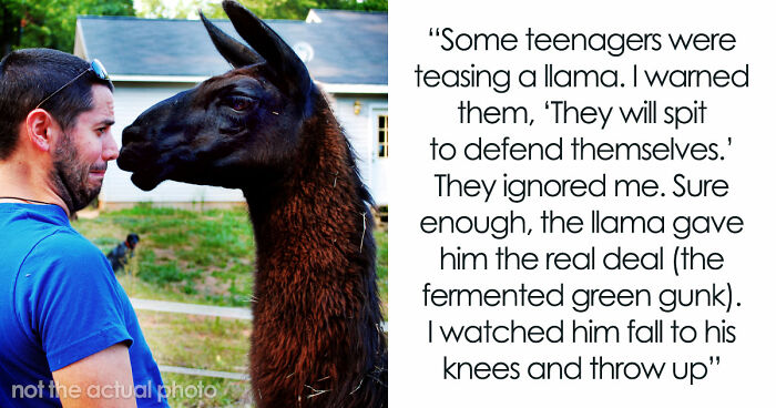 61 Times Karma Turned The Tables In The Most Satisfying Way