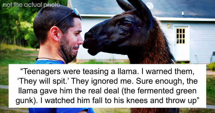 61 Times Karma Turned The Tables In The Most Satisfying Way