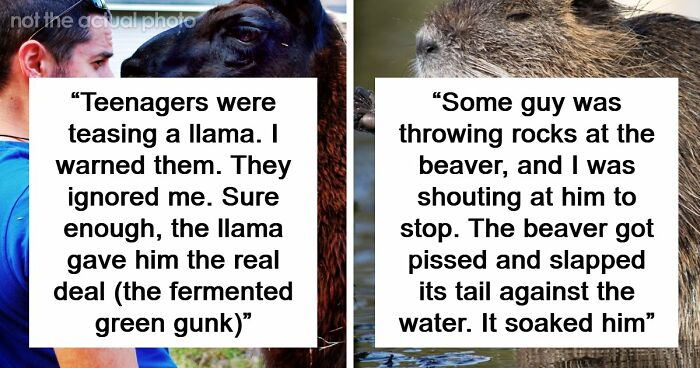 61 Times Karma Turned The Tables In The Most Satisfying Way