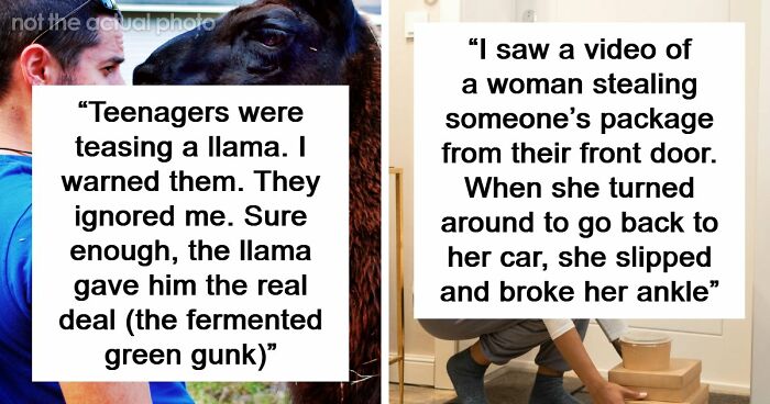 61 Times Karma Turned The Tables In The Most Satisfying Way
