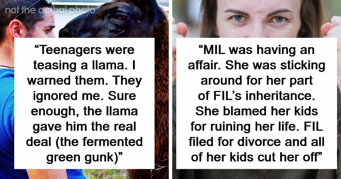 61 Times Karma Turned The Tables In The Most Satisfying Way
