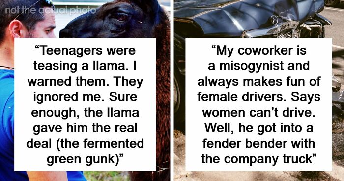 61 Times Karma Turned The Tables In The Most Satisfying Way
