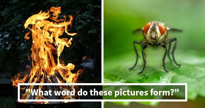 “Think You’re Sharp?”: Prove It By Solving These 20 Visual Word Clues
