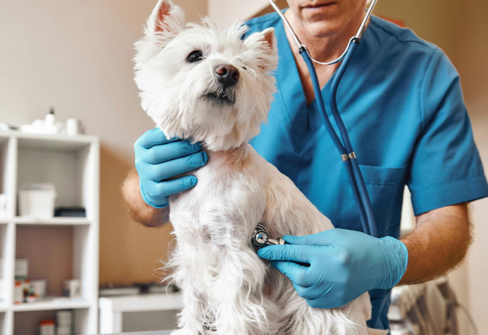 “I Knew Something Was Wrong”: 45 Times People Gut Warned Them About Something Horrible