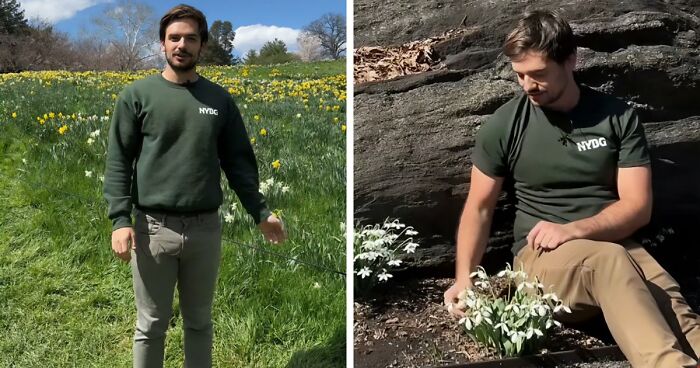 Woman’s Every Meal For Her Mom Is Revenge And Nobody Knows It Except The Two Of Them