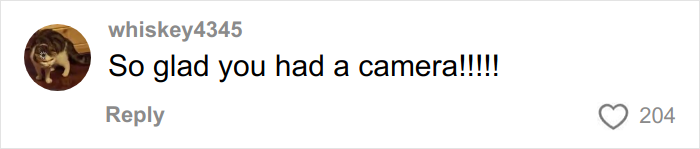 Uber Driver Shares Highly Disgusting And Inappropriate Interaction, Women Shocked They Get Reported