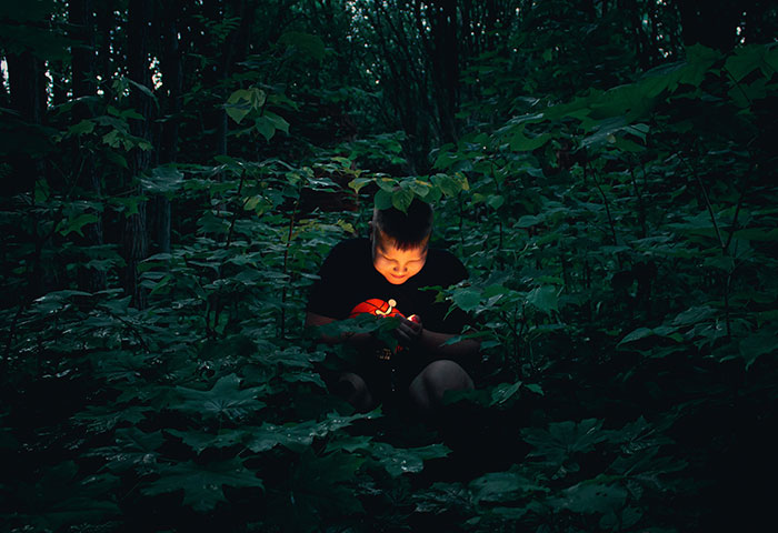 Boy sitting in dense forest at night, illuminated by a small light, symbolizing harmless but effective revenge on jerks.