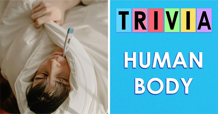 “How Well Do You Really Know The Human Body?”: Answer All 29 Science Questions