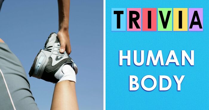 “How Well Do You Really Know The Human Body?”: Answer All 29 Science Questions