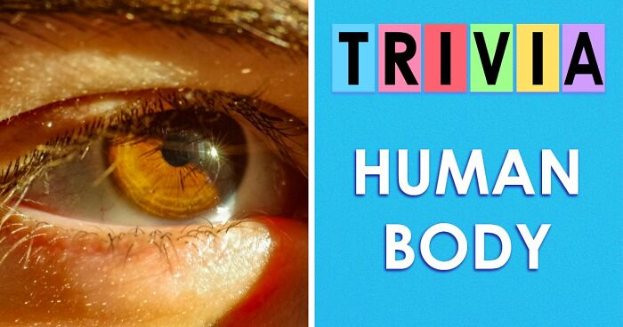 “How Well Do You Really Know The Human Body?”: Answer All 29 Science Questions