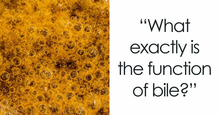 “How Well Do You Really Know The Human Body?”: Answer All 29 Science Questions