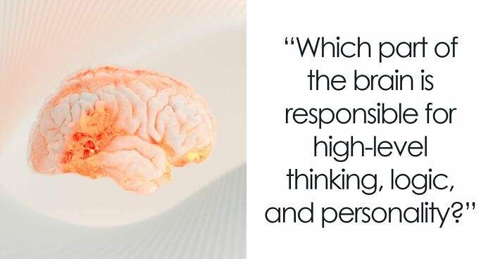 “How Well Do You Really Know The Human Body?”: Answer All 29 Science Questions