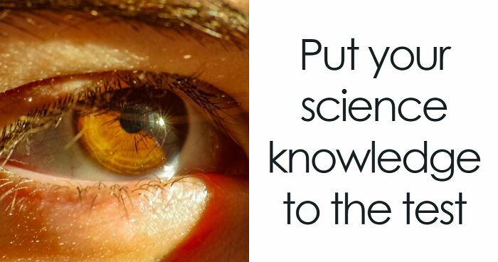 “How Well Do You Really Know The Human Body?”: Answer All 29 Science Questions