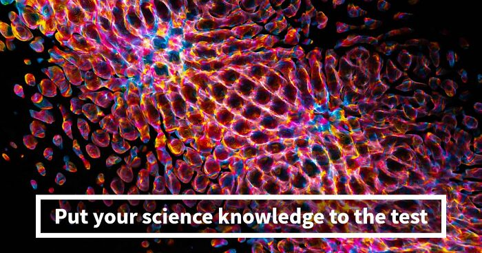 “How Well Do You Really Know The Human Body?”: Answer All 29 Science Questions