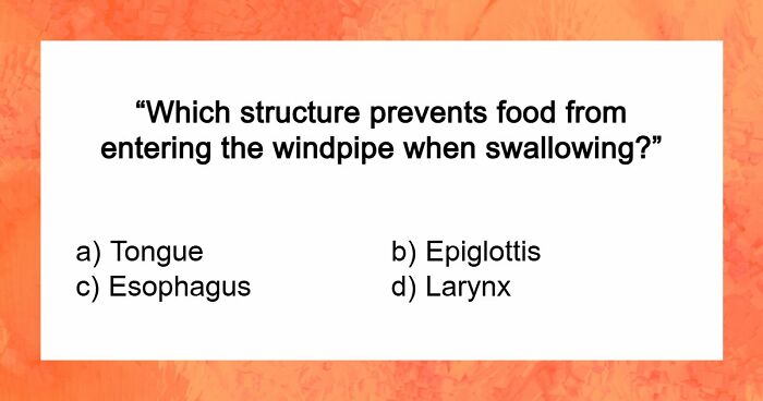 “How Well Do You Really Know The Human Body?”: Answer All 29 Science Questions