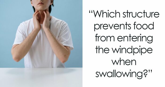 “How Well Do You Really Know The Human Body?”: Answer All 29 Science Questions