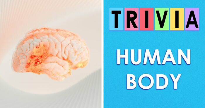 “How Well Do You Really Know The Human Body?”: Answer All 29 Science Questions